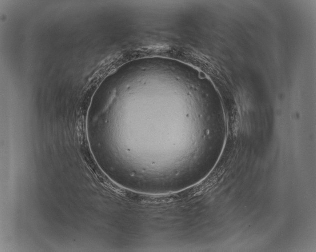 X0000074931397200609081314