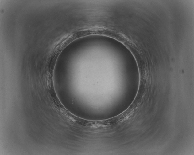 X0000074931398200609081314