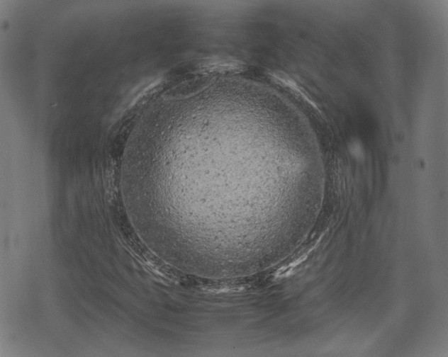 X0000074931399200609081314