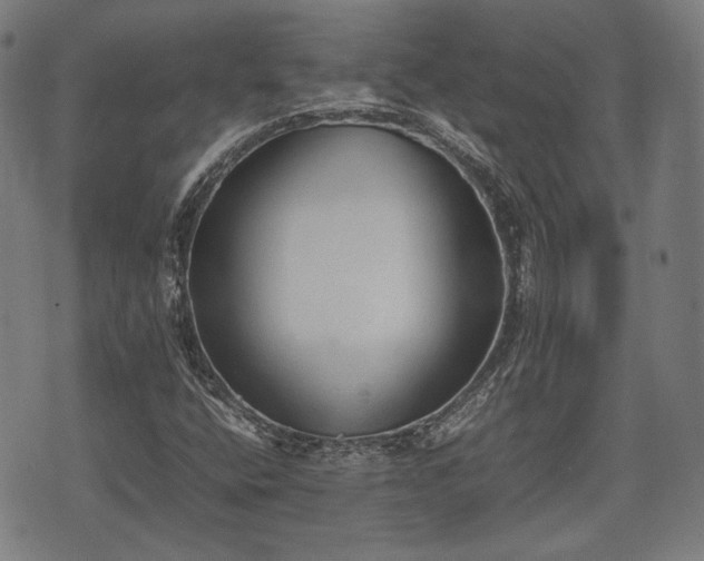 X0000074931400200609081314