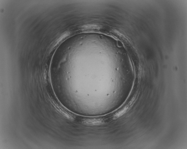 X0000074931401200609081314