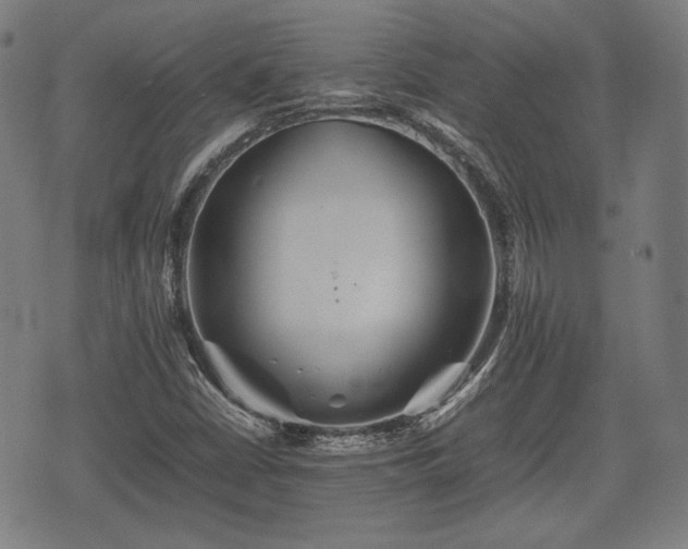 X0000074931402200609081314