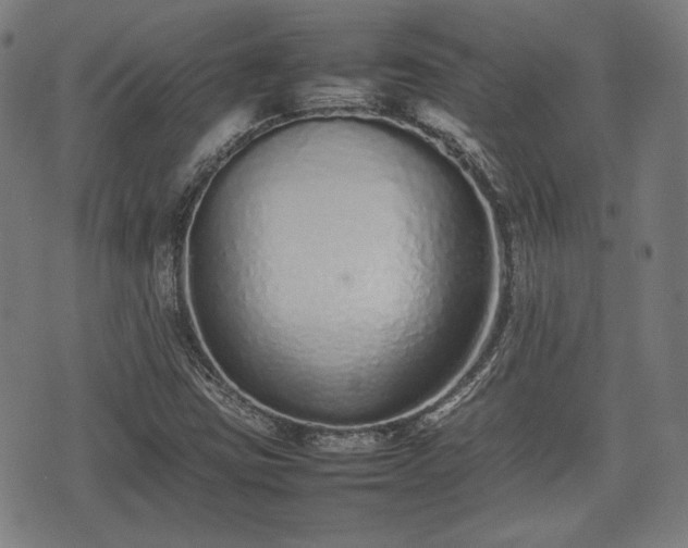 X0000074931403200609081314