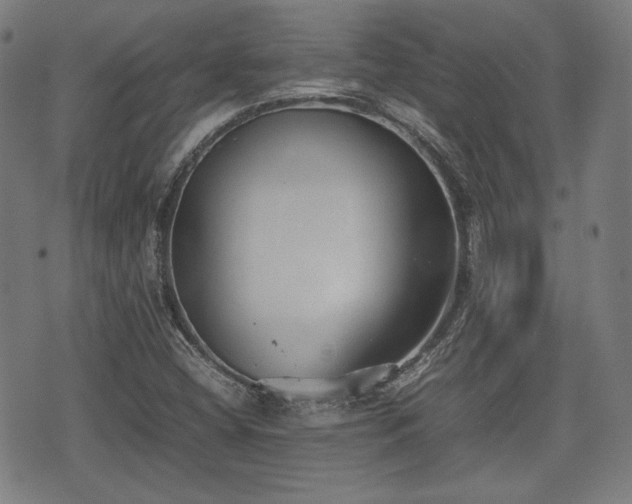 X0000074931404200609081314