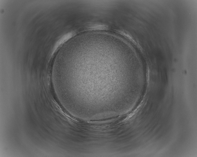 X0000074931405200609081314