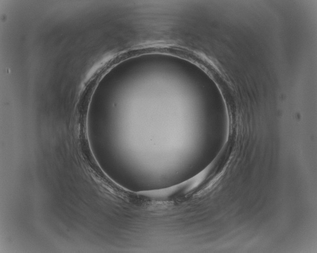 X0000074931406200609081314