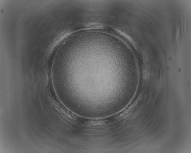 X0000074931407200609081314