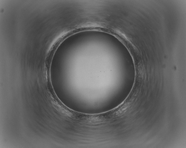 X0000074931408200609081314