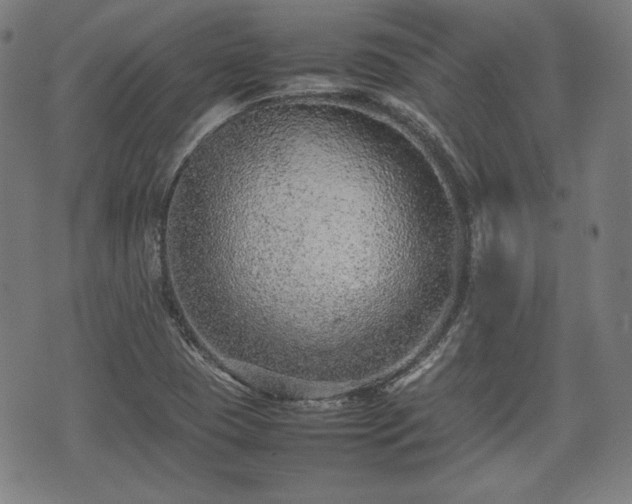 X0000074931409200609081314