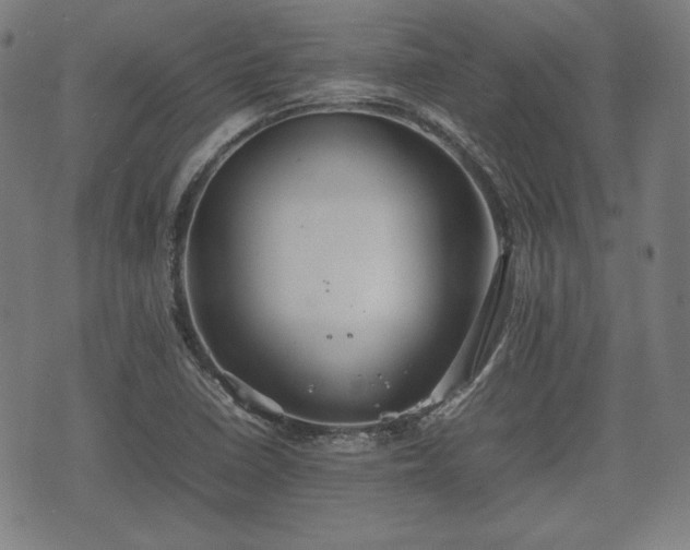 X0000074931410200609081314