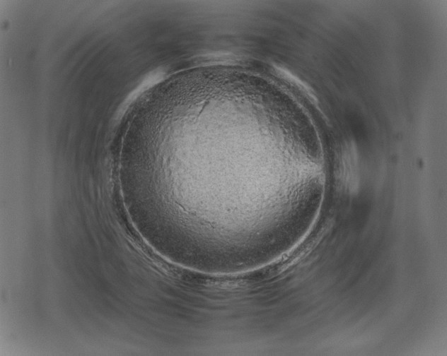 X0000074931411200609081314