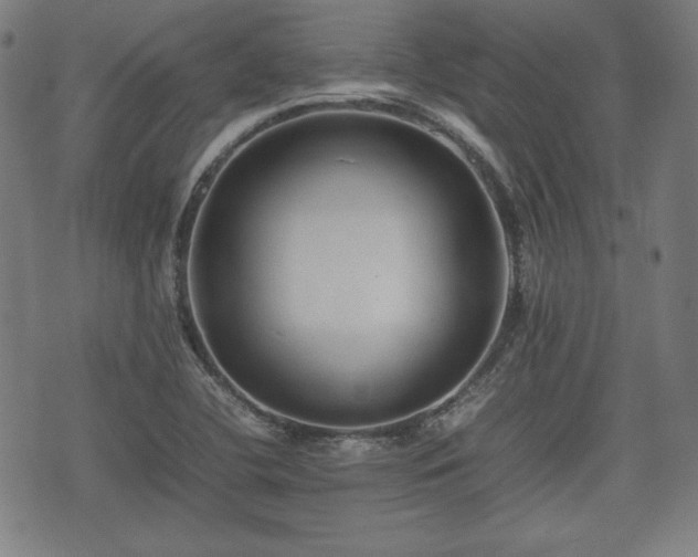 X0000074931412200609081314