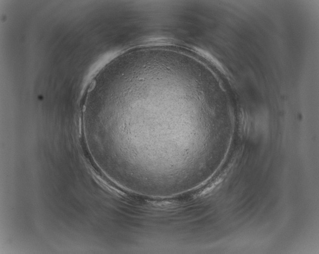 X0000074931413200609081314