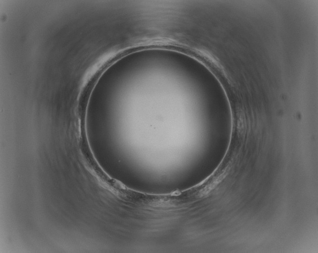 X0000074931414200609081314