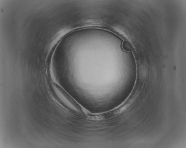 X0000074931415200609081314