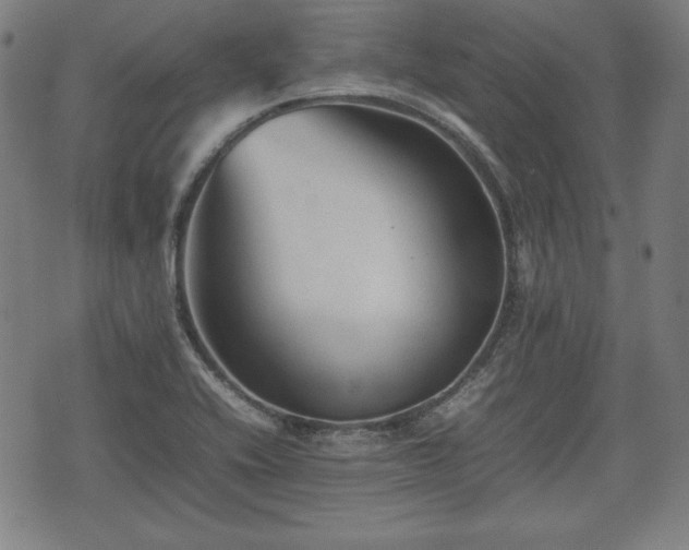 X0000074931416200609081314