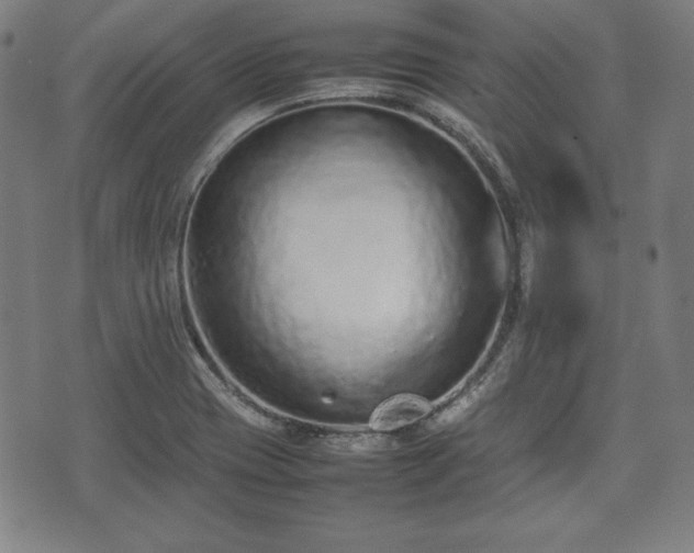 X0000074931417200609081314