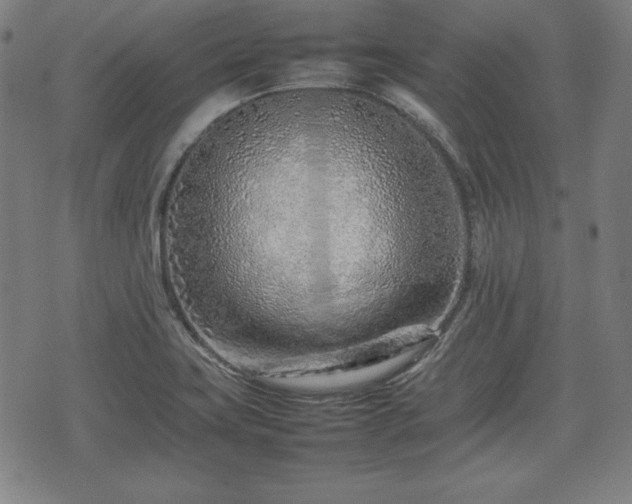 X0000074931419200609081314