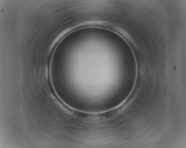 X0000074931420200609081314