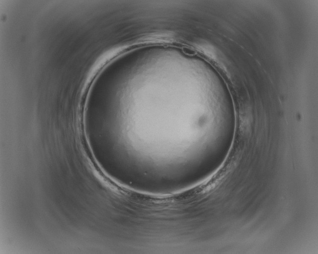 X0000074931421200609081314