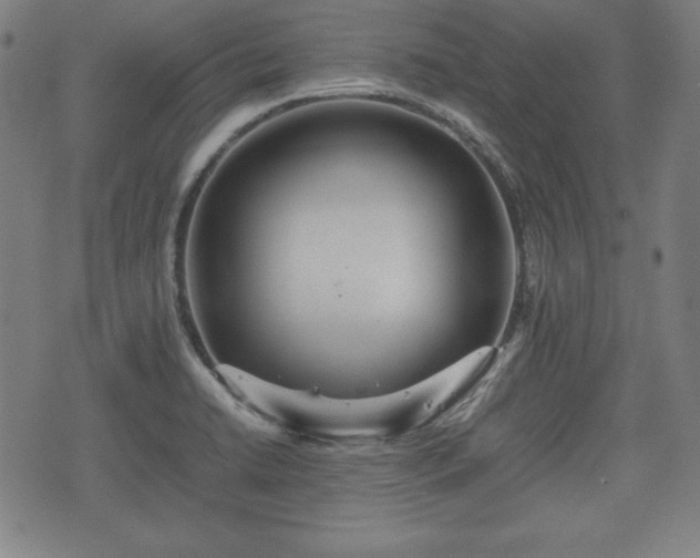 X0000074931422200609081314