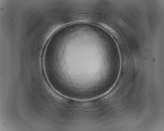 X0000074931423200609081314