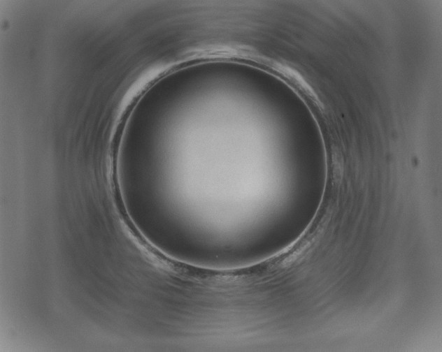 X0000074931424200609081314