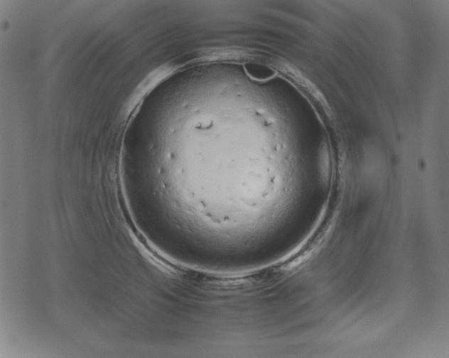 X0000074931425200609081314