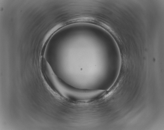 X0000074931426200609081314