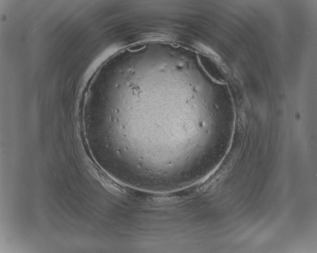 X0000074931427200609081314