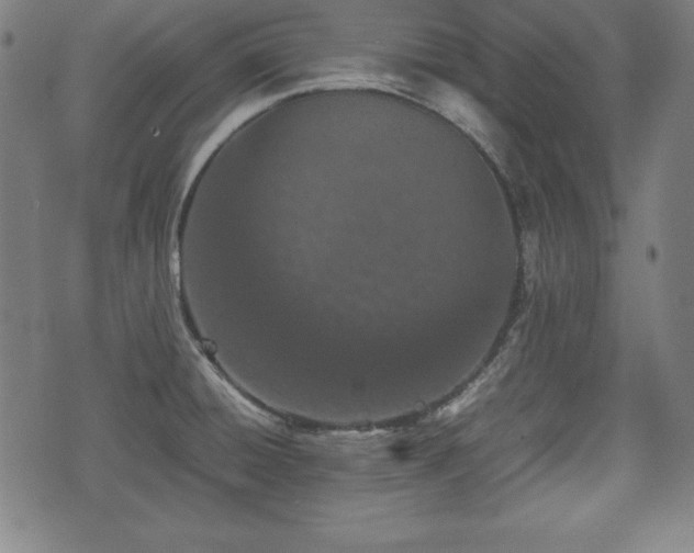 X0000074931428200609081314