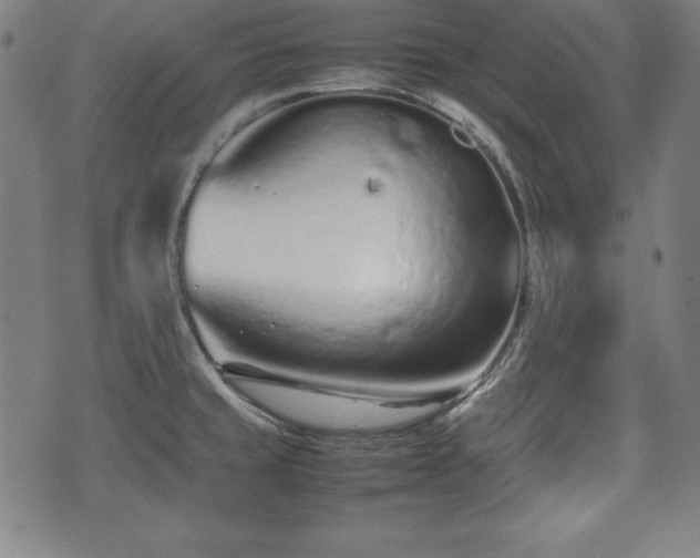 X0000074931429200609081314