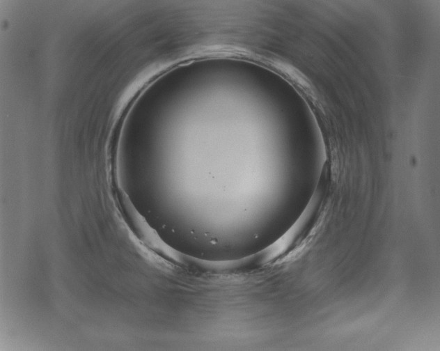 X0000074931430200609081314