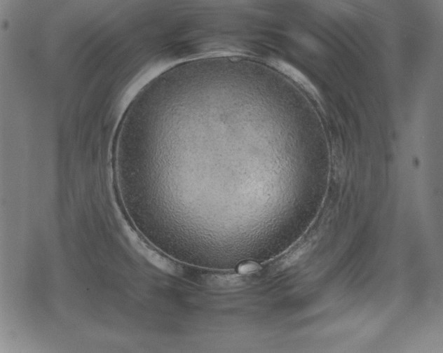 X0000074931431200609081314