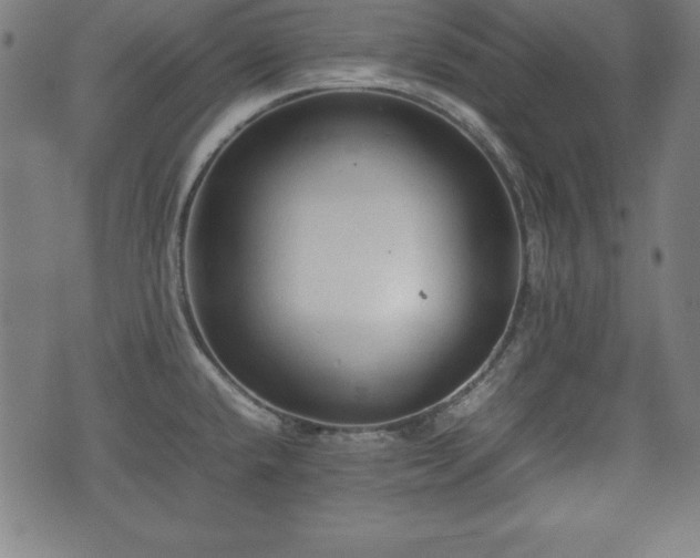 X0000074931432200609081314