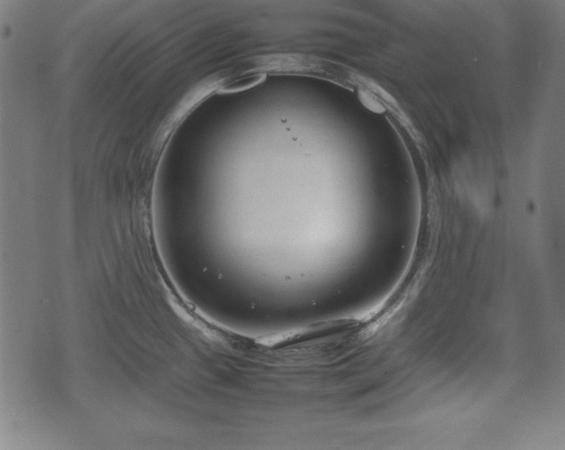 X0000074931433200609081314