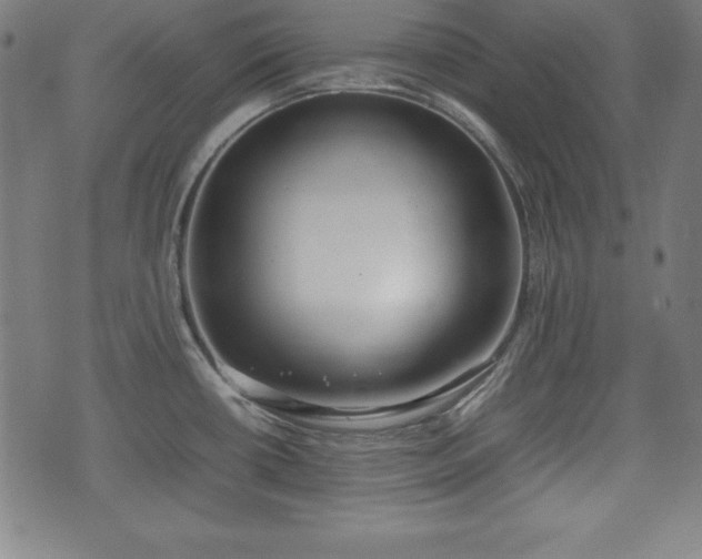 X0000074931434200609081314