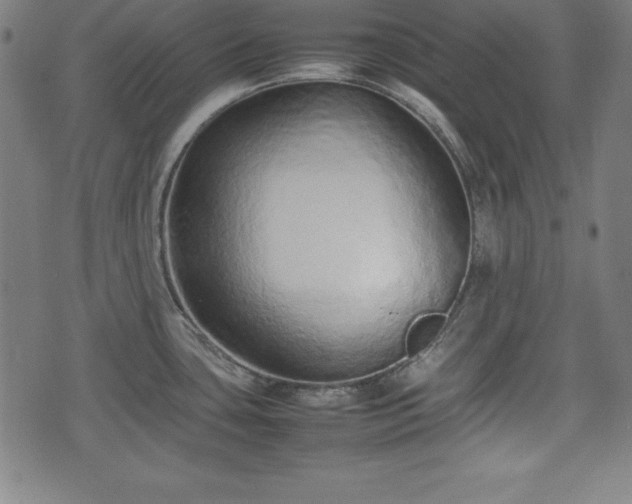 X0000074931435200609081314