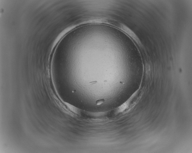 X0000074931436200609081315