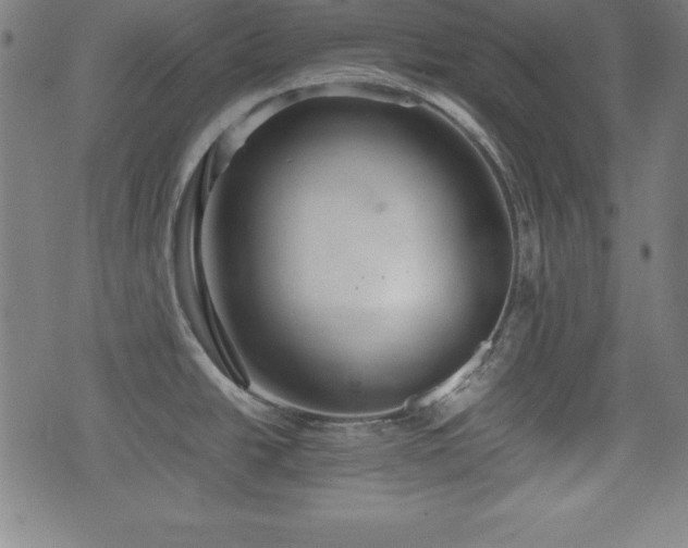 X0000074931438200609081315