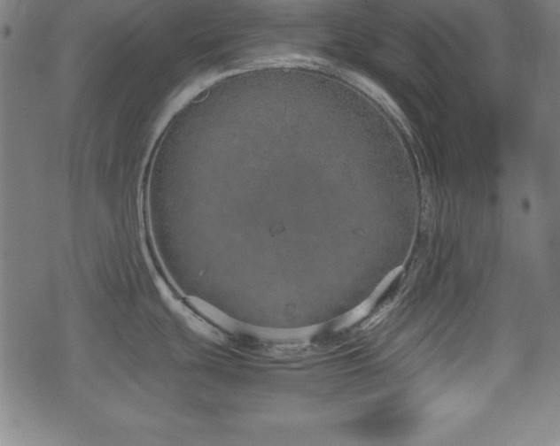 X0000074931439200609081315