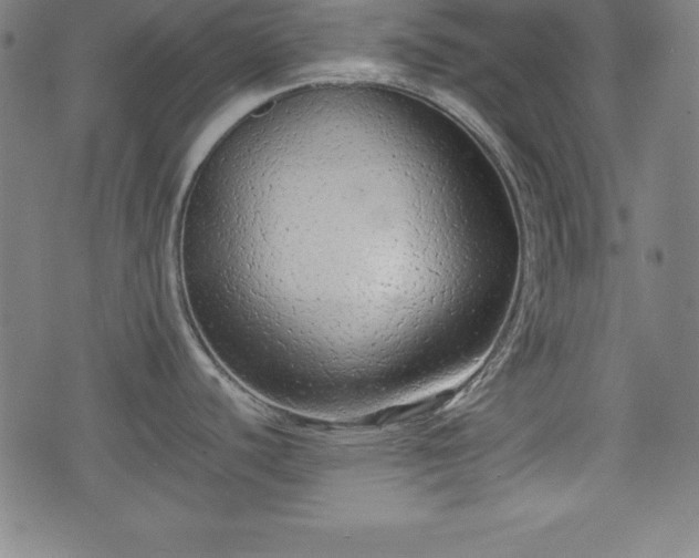 X0000074931440200609081315