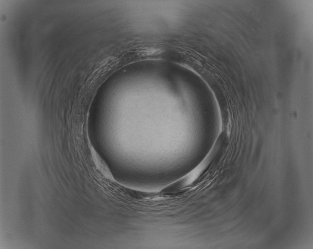 X0000074931441200609081314