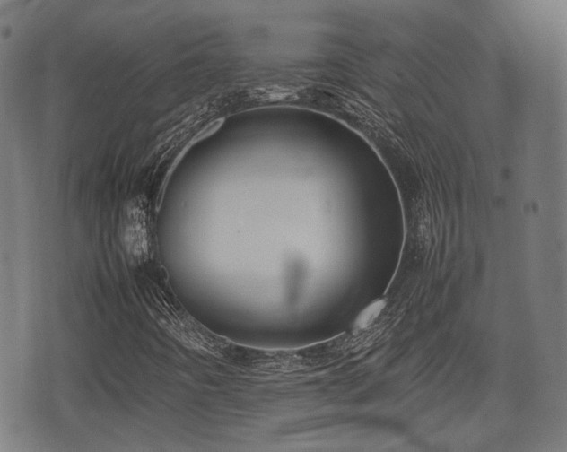 X0000074931442200609081314