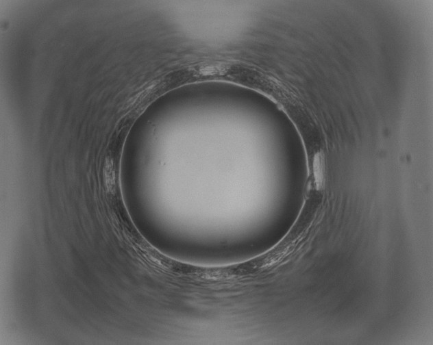 X0000074931443200609081314