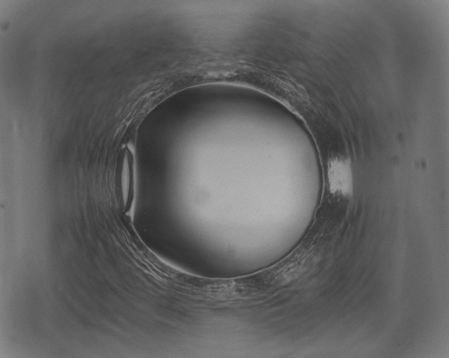 X0000074931444200609081314