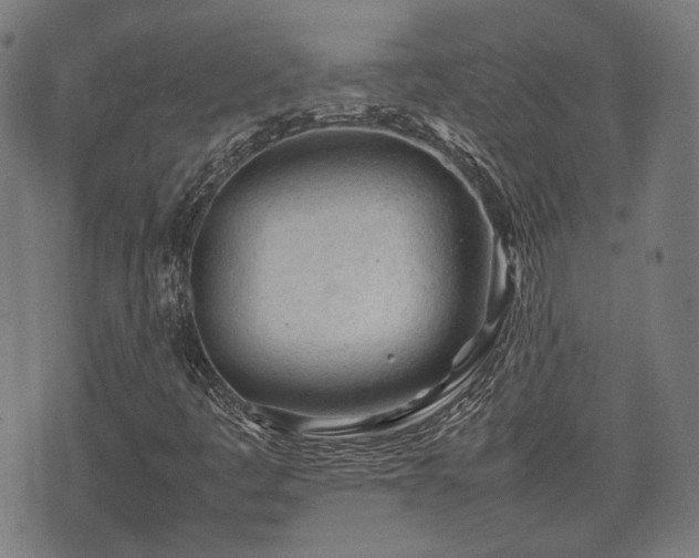 X0000074931445200609081314