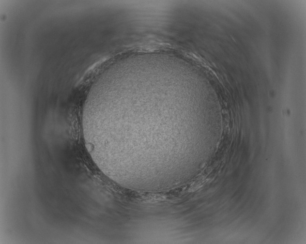 X0000074931446200609081314