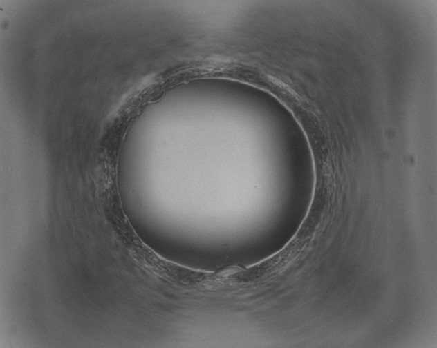 X0000074931447200609081314