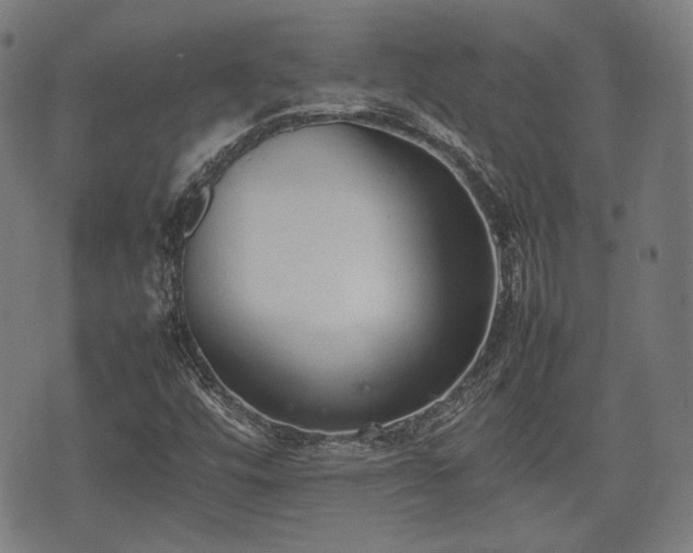 X0000074931448200609081314